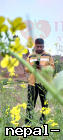 Arjunsexana