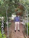 Vamshi