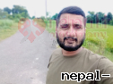 Aniltimalsina