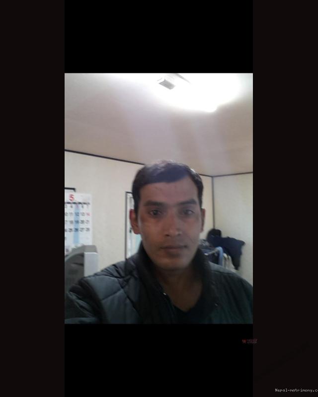 Rosankarkee