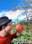 Phadindra