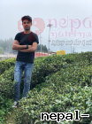 Aneeshsubedi