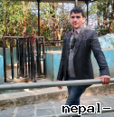 Jacksonsaphal
