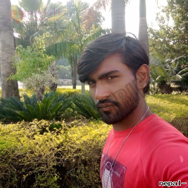Aryankum, New Delhi, India