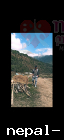 Ozalshrestha